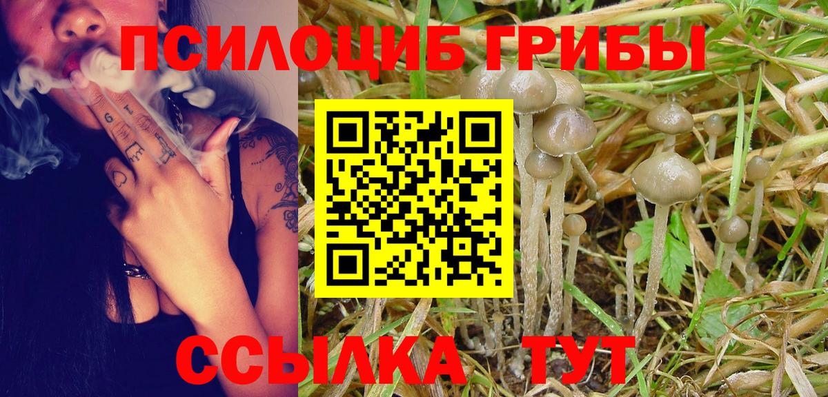 где продают   Вход с VPN  Псилоцибиновые грибы Psilocybine cubensis  Майский  Псилоцибиновые грибы Psilocybe 