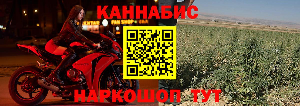 Шишки марихуана конопля Майский